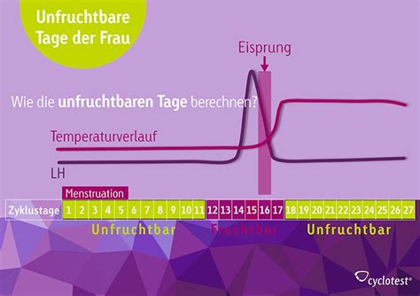 Wenn sie einen kürzeren, aber dennoch regelmäßigen zyklus haben, findet ihr eisprung früher statt, bei einem längeren regelmäßigen zyklus findet er später statt. Eisprung direkt nach periode moglich. Eisprung 1 Woche ...