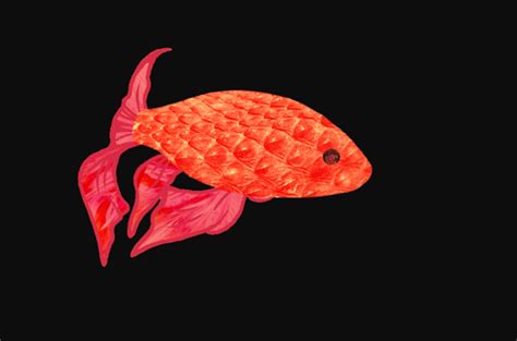 Such as png, jpg, animated gifs, pic art, logo, black and white, transparent, etc. Goldfish Animated Gif Pictures at Best Animations