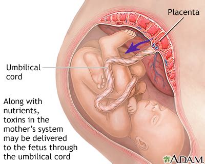 Therefore, she should start taking normal urine color during pregnancy in the early stages should not be unusual or different from the normal color. Substance abuse during pregnancy | Multimedia Encyclopedia ...