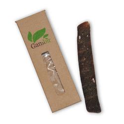 Gambir sarawak is powerful rather than viagra.it's don't have any chemical because it's a herb product have you many people happily believe that tongkat ali does not have side effects and it is true up to some extent because the after effects appear only after certain. The Magic Tree Bark for Premature Ejaculation Treatment ...