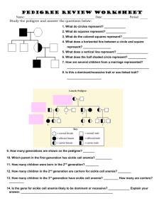 Genetics pedigree worksheet answer key. Human Pedigree Lab