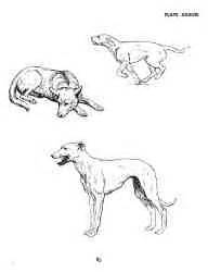 He delves deep into each area of the human anatomy including: Figure and Animal Drawing