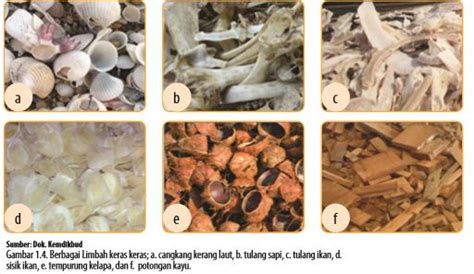 Limbah organik limbah organik merupakan limbah yang berasal dari makhluk hidup (alami) dan sifatnya mudah membusuk/terurai. Jenis dan Karakteristik Bahan Limbah Keras - Kerajinan Prakarya