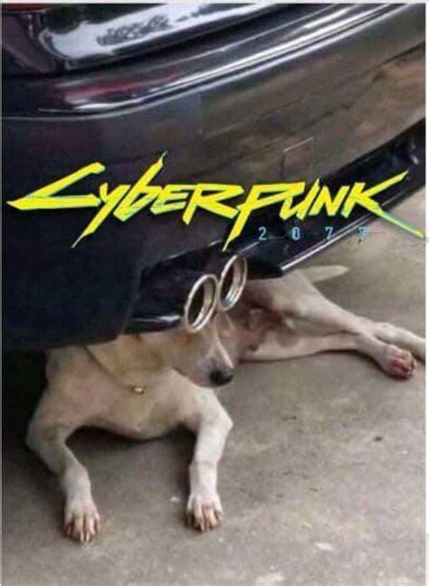 Cyberpunk 2077 repost | Memes engraçados, Meme engraçado ...