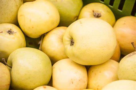 Мед и яблоки диета Разные яблоки полезны по-разному: какие яблоки и кому нужно есть Разные яблоки полезны по-разному: какие яблоки и кому нужно есть Мед и яблоки диета