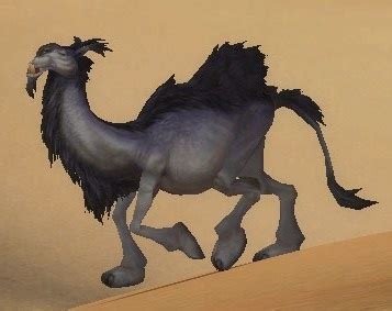 Our bestiary provides a comprehensive visual guide to every world of warcraft each pet's profile includes the name of the promotion and other notes that explain how it's obtained. Wild Camel - NPC - World of Warcraft