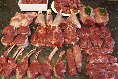 كم سعر لحم الغزال في السعودية؟