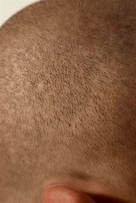 The Leaf Shave Review: The Time To Ditch The Plastic Is Now!