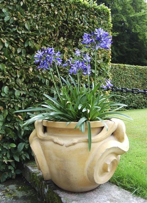 Der traum vom eigenen pool. Garten für Faule: Viel Spaß, wenig Arbeit | Garten, Garten ...