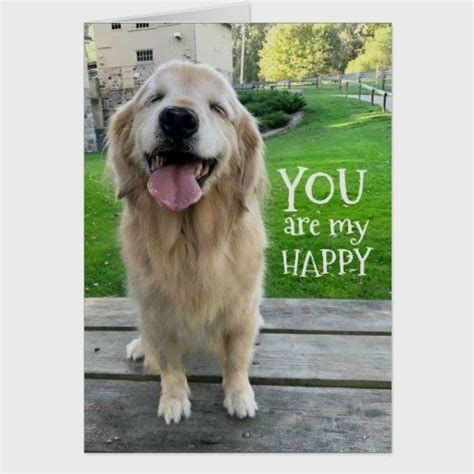 Petmedic was founded by dr. Golden Retriever Dog You Are My Happy Card | Zazzle.com ...