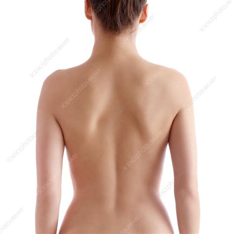 Check spelling or type a new query. Woman's back - Stock Image - F020/9743 - Science Photo Library