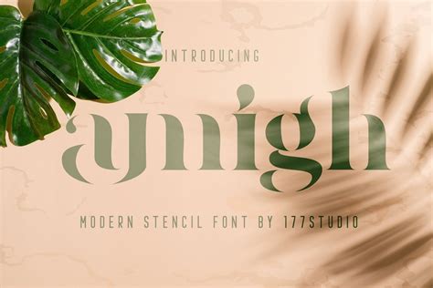 Modern fonts are styles that are new to our present time, and differ from the remote past. Amigh Modern Serif Stencil Font - Dafont Free