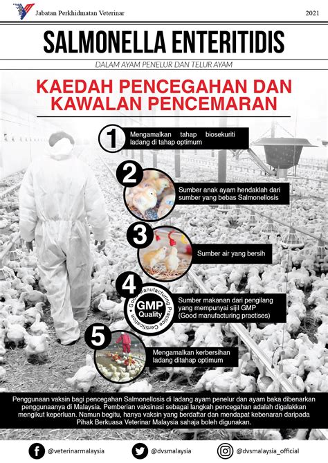 Jabatan perkhidmatan veterinar kementerian pertanian & industri makanan wisma tani, blok podium, lot 4g1, presint 4 pusat pentadbiran kerajaan persekutuan, 62624 putrajaya. Jabatan Perkhidmatan Veterinar Negeri Sembilan - Posts ...