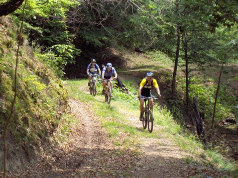 This list exposes the oldest tracks around the world that are still existing today. Cycling tracks in Western Romania mountains marked for ...