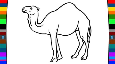 Camel drawings original artwork | fine art america. Camel Drawing at GetDrawings | Free download
