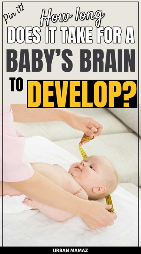 How long do asbestos fibers remain in the air? How long does it take for a baby's brain to develop ...