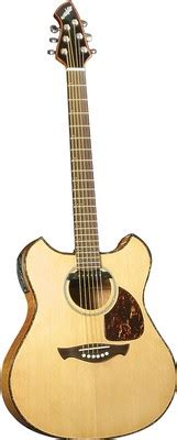 Kurt cobain's guitar work during the nirvana years became the template for the seattle grunge rock sound. kurt cobain Martin D-18E acoustic | Harmony Central