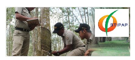 Pendaftaran lowongan cpns 2021 akhirnya dibuka. Lowongan Kerja Sekolah Perkebunan STIPAP November 2020 ...