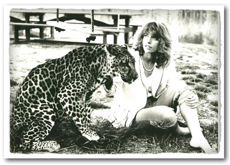 The big cat with a small name, tiny is our longest standing resident at the big cat sanctuary! I Spy Animals: Friday Fun: Boomer and Me