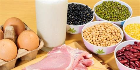 Protein memegang peranan penting dalam hampir semua proses biologi. Makanan Protein : Kepentingan ,Sumber Dan Kesan Dalam Menu ...