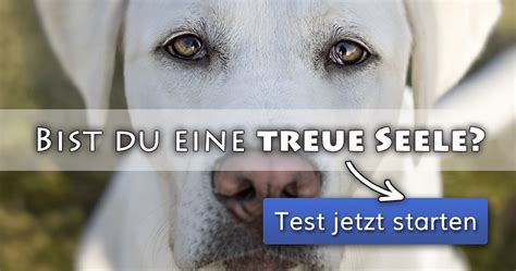 Ich hoffe, du bist gut nach hause gekommen. ᐅ Bist du eine treue Seele?