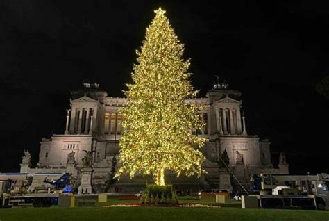 Intorno alle decorazioni dell'albero di natale c'è un intero e affascinante mondo: Natale 2020 a Roma: a Piazza Navona light show per la ...