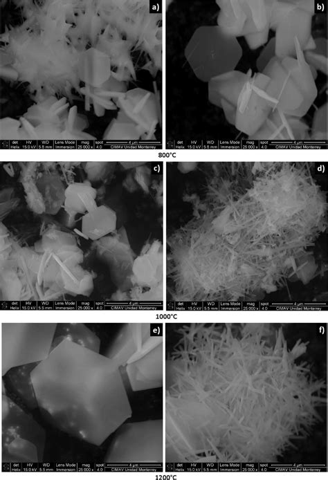 Modified pechini method, laalo3:eu3+, photoluminescence, thermoluminescence. SEM showing mullite and alumina obtained by Pechini method ...