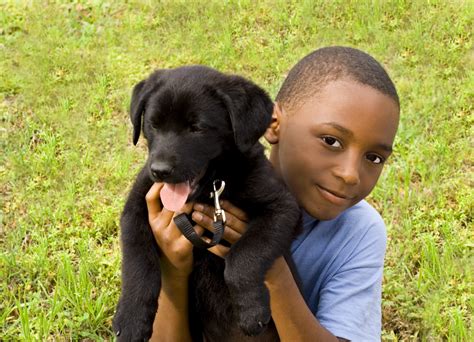 Blue springs animal hospital & pet resort in blue springs, mo, a suburb of kansas city, is a full service veterinary clinic and resort boarding kennel. Pup-A-Palooza at Houston's Meadowlake Pet Resort | Houston ...