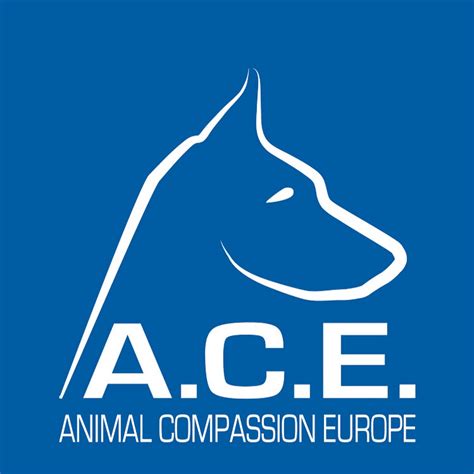 I think there is no is informal and there is not is formal or more enfatics. ACE Tiere in Not - YouTube