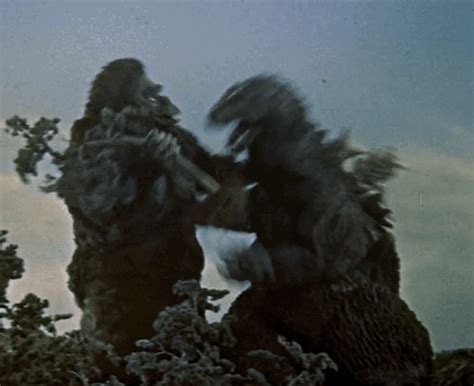 Godzilla is a 1962 tokusatsu kaiju film produced by toho company ltd., the third installment in the godzilla series, as well as the showa series. Godzilla vs king kong gif 12 » GIF Images Download