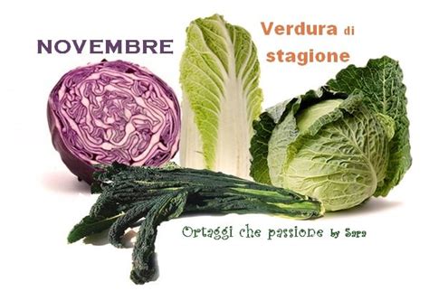 We did not find results for: NOVEMBRE calendario verdura di stagione | Verdura ...