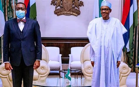 The president of african development bank (www.afdb.org), akinwumi a. AfDB Crisis: Nigeria Stands by you, Buhari Tells Adesina ...