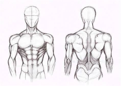 It just pulls your muscles tight and then relaxes them. Back Muscles Drawing Reference Anime : 12 Anime Poses Male ...