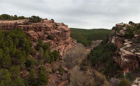 Aventura prehistórica en los pinares de ródeno, albarracín. Jurisprudencia al día. Aragón. Paisaje Protegido de los ...