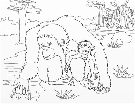 Here we have an assortment of coloring pages of orangutans. Orangutan Coloring Pages - ColoringBay