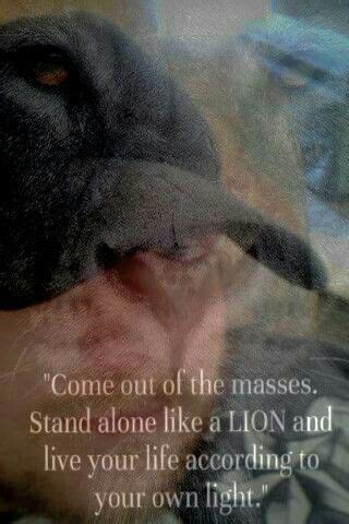 Pick on somebody your own size!. Pin by Michael Burley on Mine | Like a lion, Life, Live ...