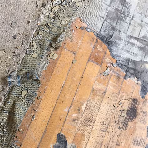 Leg eine lage papiertücher über den fleck und drück sie fest auf den teppich. Teppich-Kleber vom Dielenboden entfernen? (Holz, renovieren)