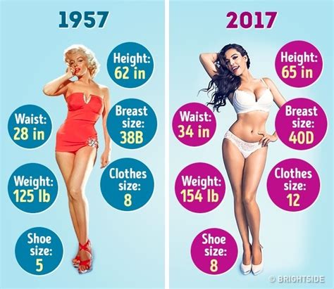 There are three living species of camels. How the Ideal Female Figure Has Changed in the Last 60 ...