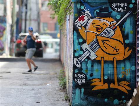 Melbourne restrictions easing episode 426: New Meme Sensation 'Butter Dog' Is Born - Mimicnews
