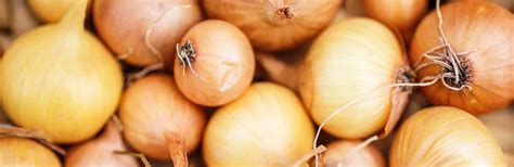 Maybe you would like to learn more about one of these? A Complete Guide to Growing Onions | Love The Garden