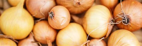 How many onions needed for one cup diced onions? A Complete Guide to Growing Onions | Love The Garden