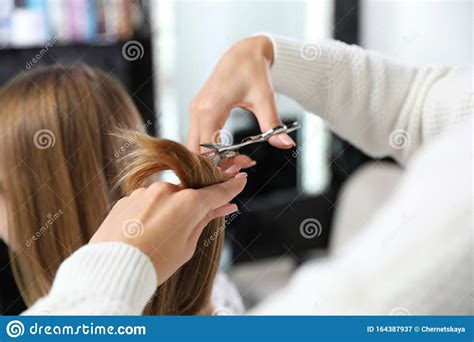 15,000+ vectors, stock photos & psd files. Hairdresser Making Stylish Haircut With Professional ...