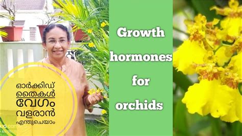 Here, there is no one single. BEST ORCHID FERTILIZER Malayalam |Orchid fertilizer for ...