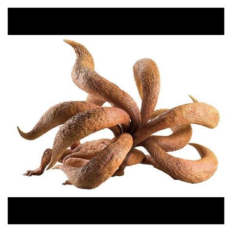 Kurama mode kurama funko pop! NARUTO Shippuden - G.E.M Series Kurama - Big in Japan