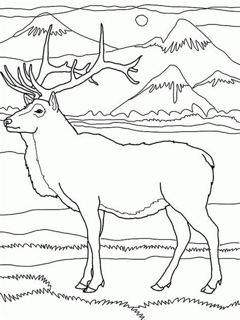 Click the three mountains coloring pages to view printable version or color it online (compatible with ipad and android tablets). Rocky Mountain Elk Coloring Page - Coloring Home