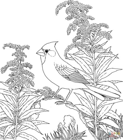 Algorithms of counting popular trends of our website offers to you see some popular coloring pages: 25+ Best Image of Bird Coloring Page - albanysinsanity.com