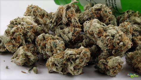 Haze is traditionally an atmospheric phenomenon in which dust, smoke, and other dry particulates obscure the clarity of the sky. Amnesia Haze Marijuana Strain (Review)