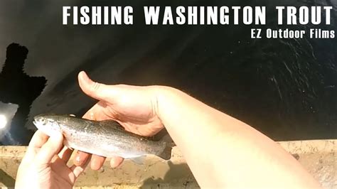 Normally, our team will track the evaluation of customers on relevant products to give out the results. Trout Fishing - Bosworth Lake, Washington - YouTube