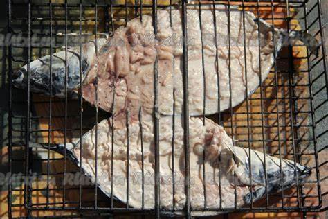Скумбрия запеченная на диете Скумбрия, запеченная на решетке на углях: 9 фото в рецепте Скумбрия, запеченная на решетке на углях: 9 фото в рецепте Скумбрия запеченная на диете