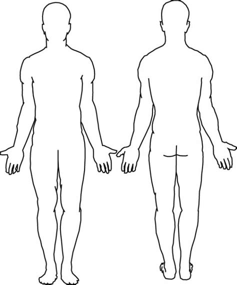 The standard anatomical position, or standard anatomical model, is the scientifically agreed upon reference position for anatomical location terms. Body Outline Coloring Page - Coloring Home